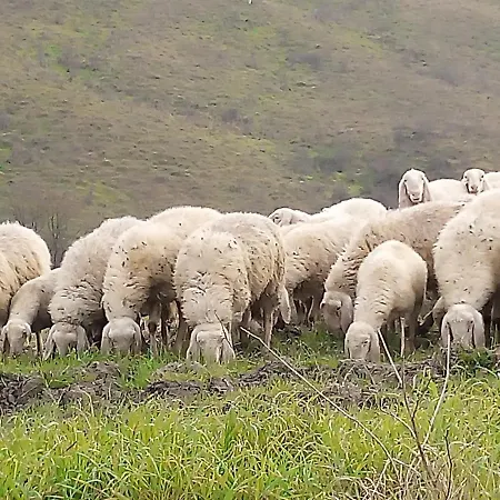 Le Roghete Farmház *