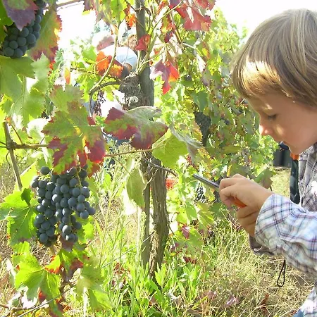 Le Roghete Alloggio per agriturismo Acquapendente