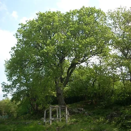 Farmház Le Roghete