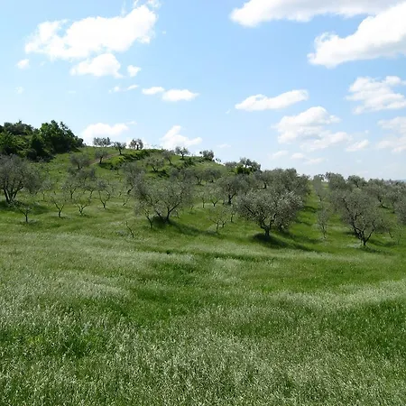 Le Roghete Alloggio per agriturismo Acquapendente