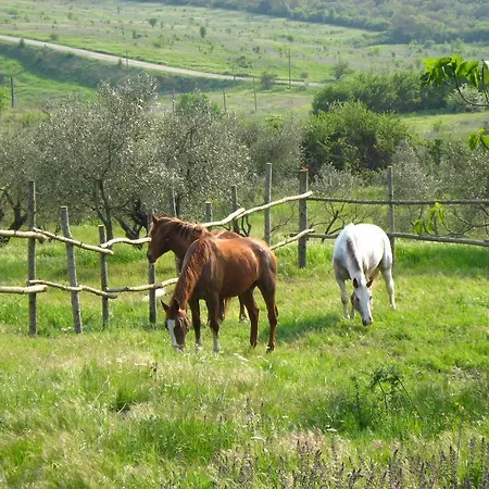 Alloggio per agriturismo Le Roghete *