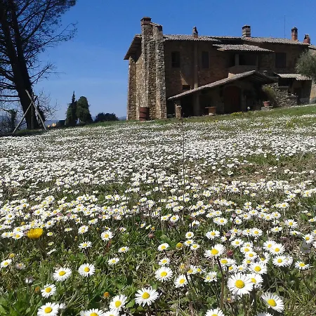 Le Roghete Acquapendente